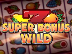 Super Bonus Wild gokkast