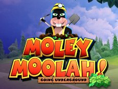 moley moolah gokkast reflex gaming